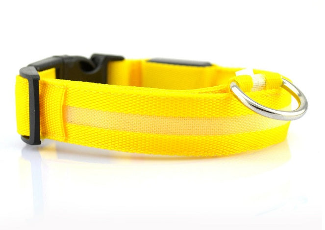 LED Night Safety Dog Leash