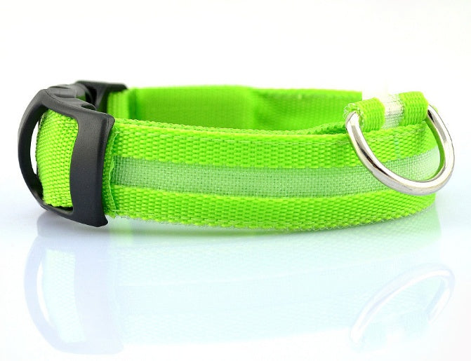 LED Night Safety Dog Leash