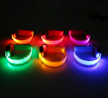 LED Night Safety Dog Leash
