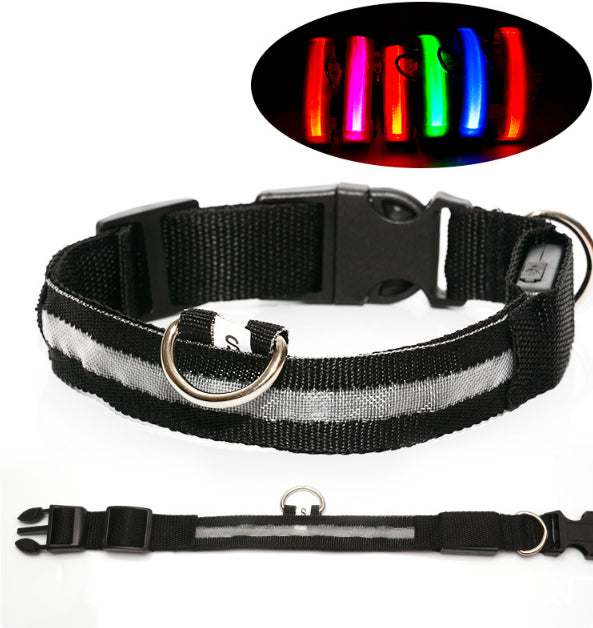 LED Night Safety Dog Leash